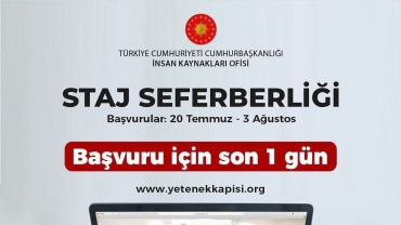 Staj Seferberliği